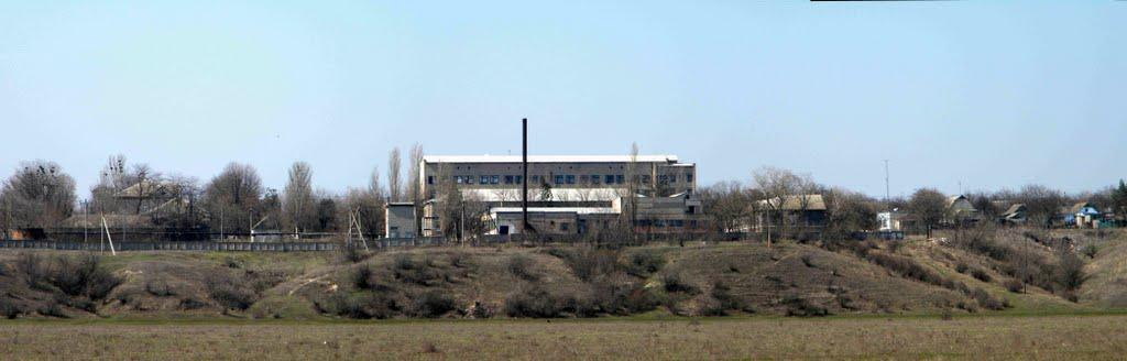 Павлівка з panoramio.com - Павловка