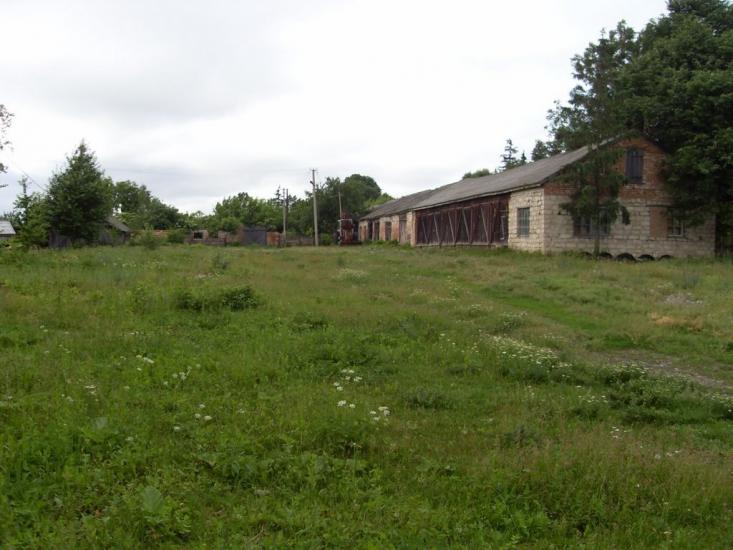Чернявка з panoramio.com - Чернявка