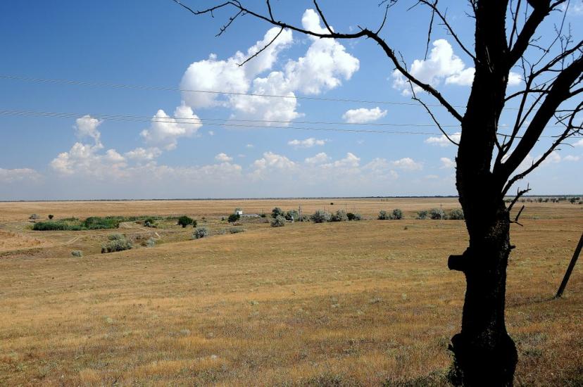 Берегове з panoramio.com - Берегово
