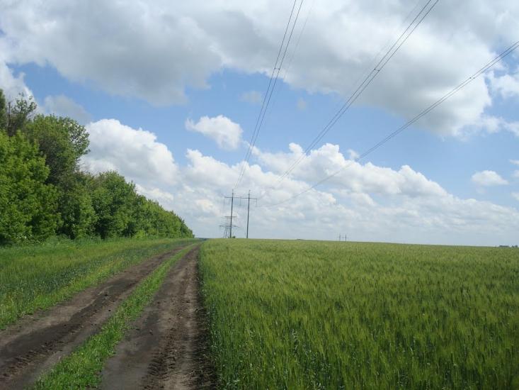 Малашівці з panoramio.com - Малашевцы