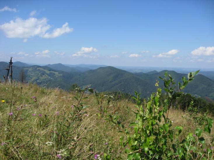 Бабин з panoramio.com - Бабин