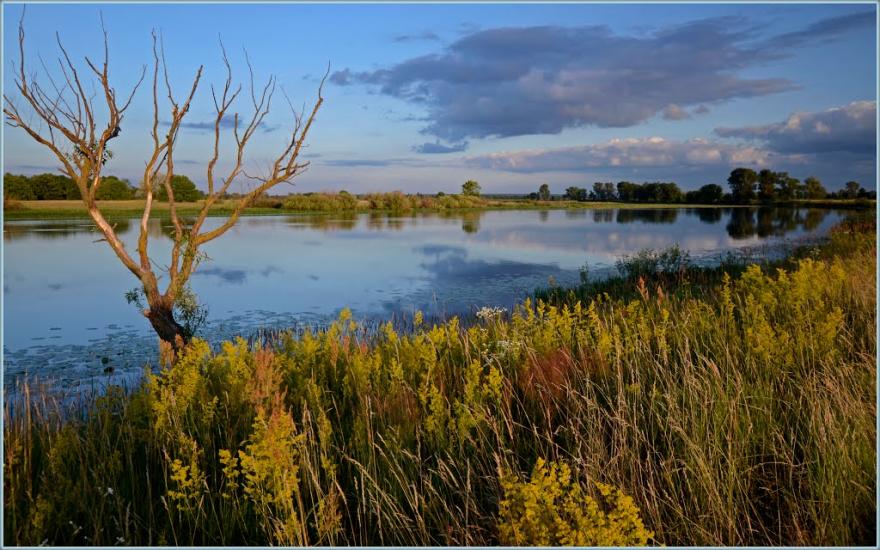 Нижча Дубечня з panoramio.com - Низшая Дубечня