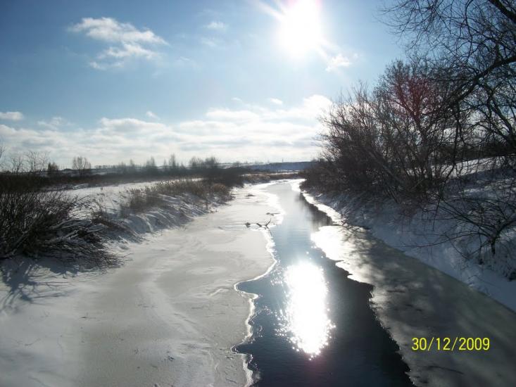Кривецьке з panoramio.com - Кривецьке