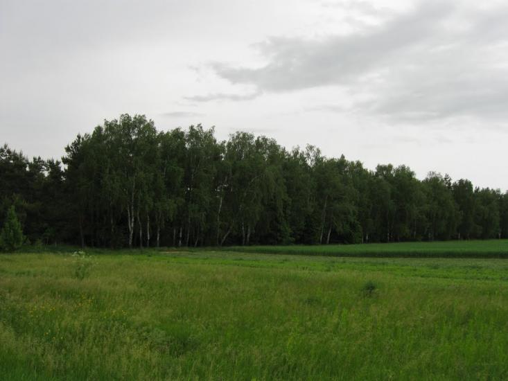 Жерденівка з panoramio.com - Жерденівка