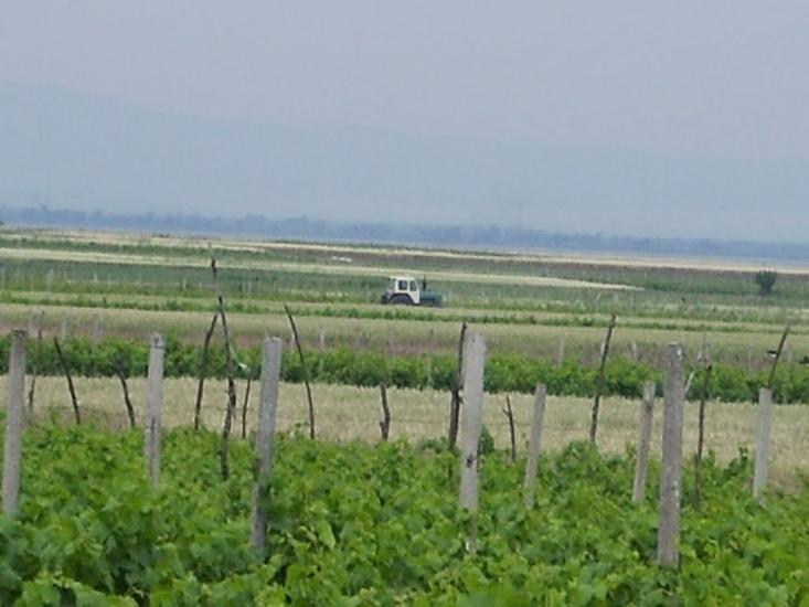 Лиманське з panoramio.com - Лиманское