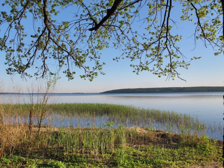 Мартове з panoramio.com - Мартово