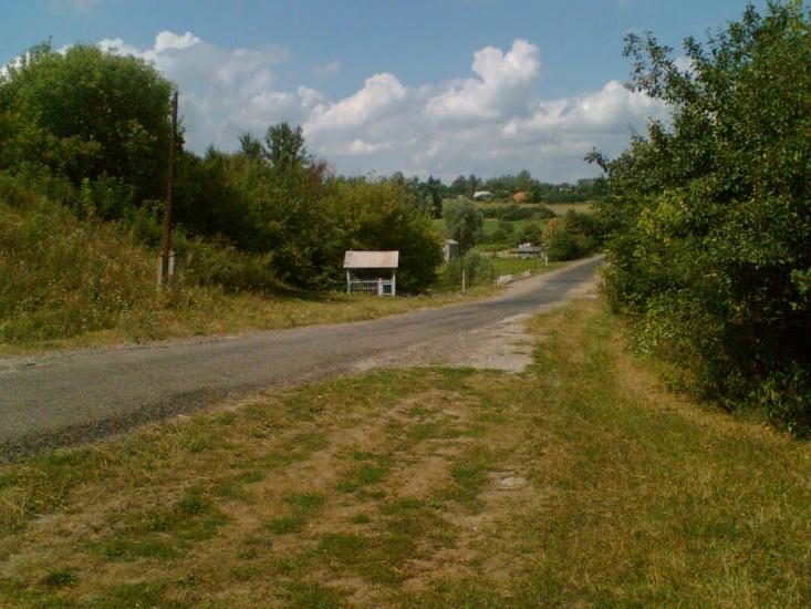 Сінне з panoramio.com - Сенное