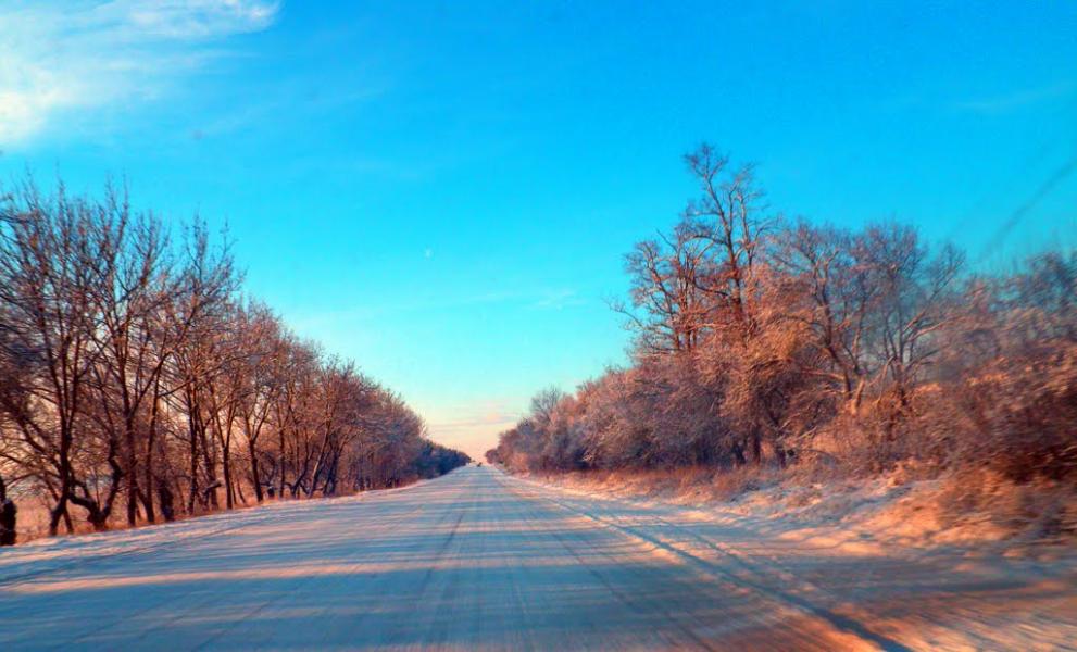 Сирень з panoramio.com - Сирень