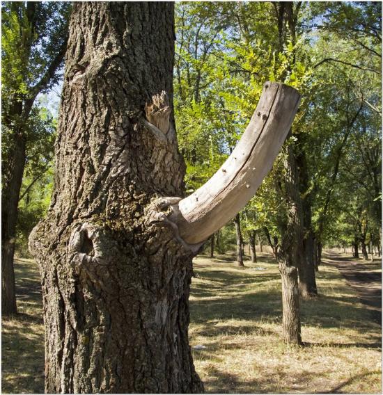 Новоіванівка з panoramio.com - Новоивановка