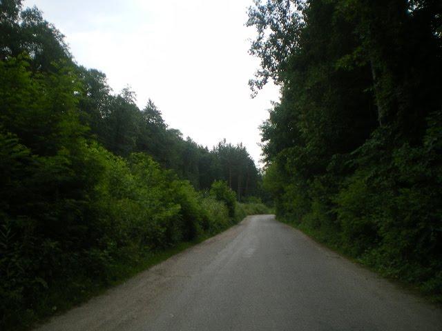 Черепашинці з panoramio.com - Cherepashyntsi