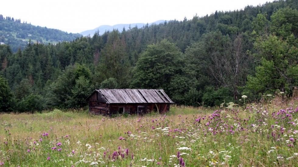 Букове з panoramio.com - Букове