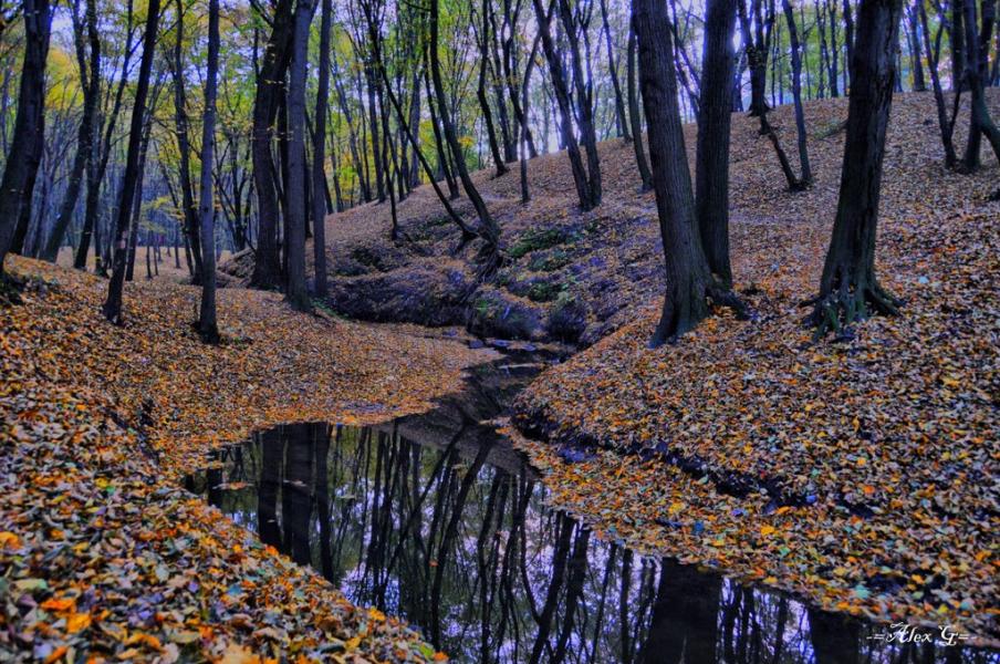 Новосілки з panoramio.com - Новоселки