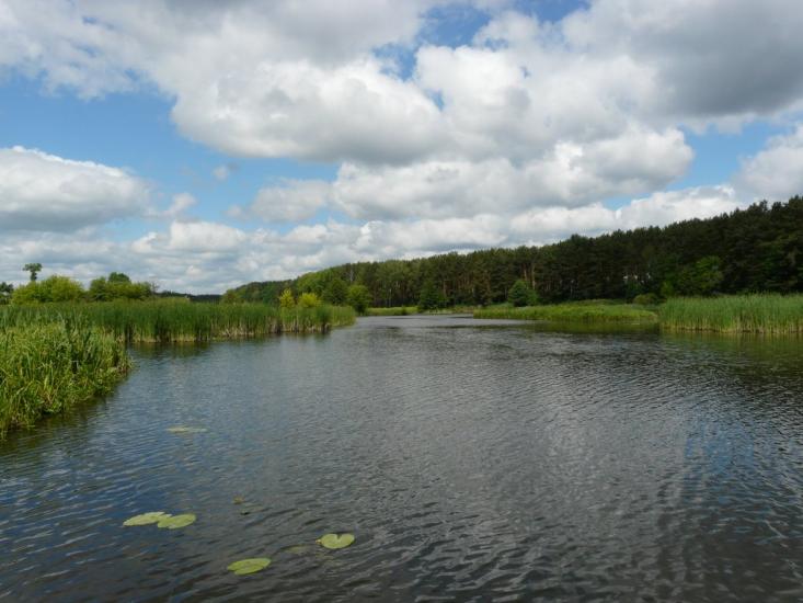 Житомир з panoramio.com - Житомир