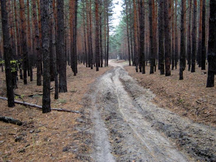 Ківшарівка з panoramio.com - Ковшаровка