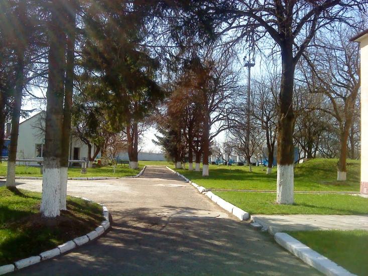 Комарно з panoramio.com - Комарно