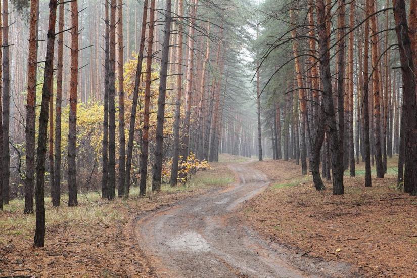 Студенок з panoramio.com - Студенок