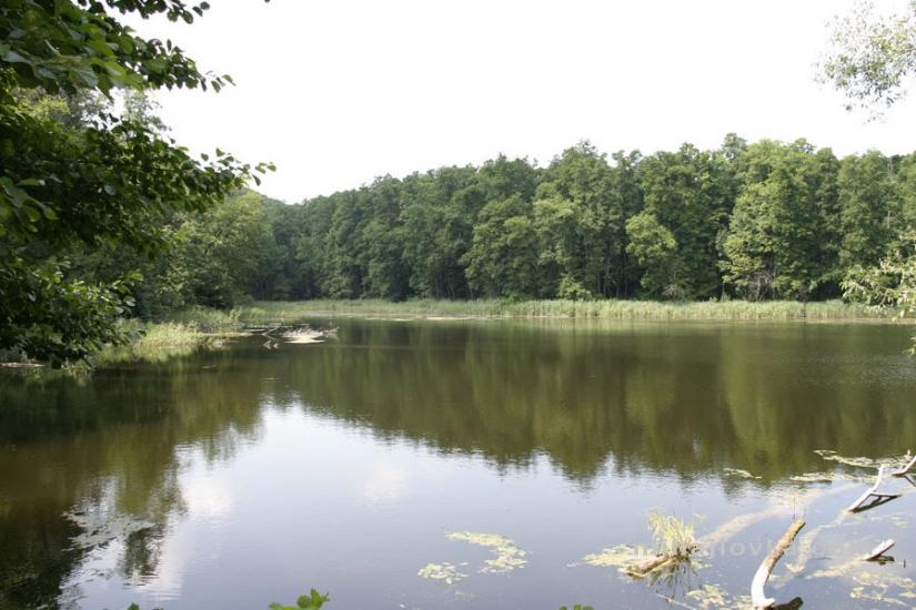 Михайлівка з panoramio.com - Михайлівка