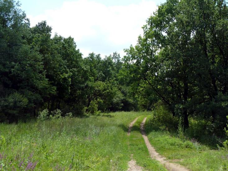 Олександрівка з panoramio.com - Александровка