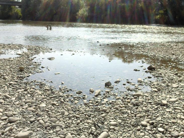 Ганнівці з panoramio.com - Ганнівці