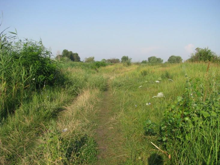 Печеніги з panoramio.com - Печениги