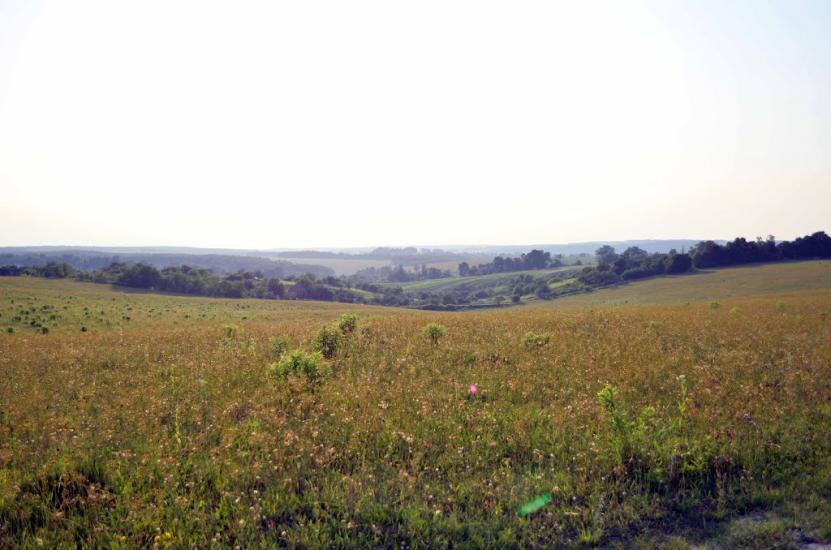 Хмільник з panoramio.com - Khmilnyk