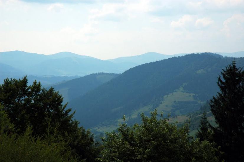 Стригальня з panoramio.com - Стригальняя