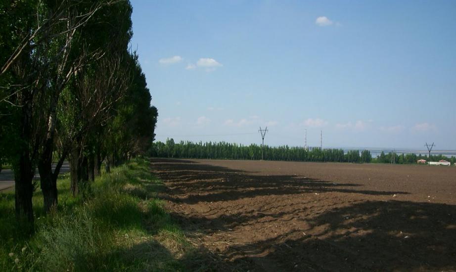 Доломітне з panoramio.com - Доломітне