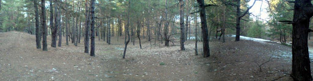 Усть-Лип'янка з panoramio.com - Усть-Липянка