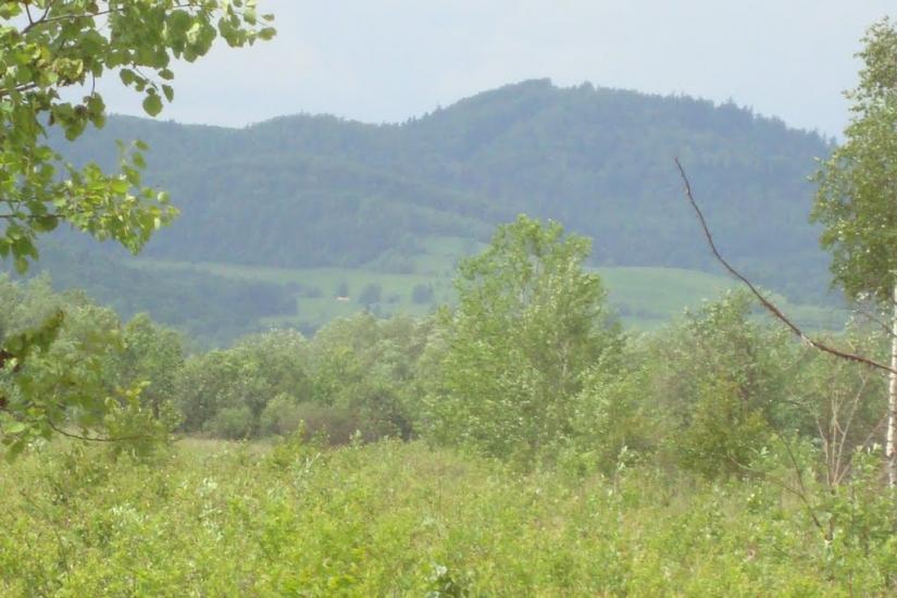 Ценява з panoramio.com - Ценява