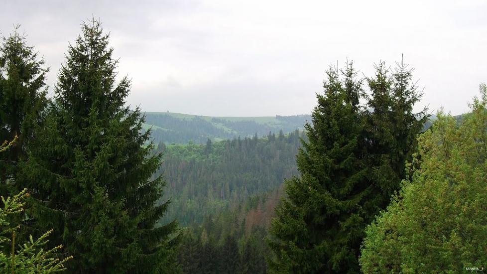 Пилипець з panoramio.com - Пилипец