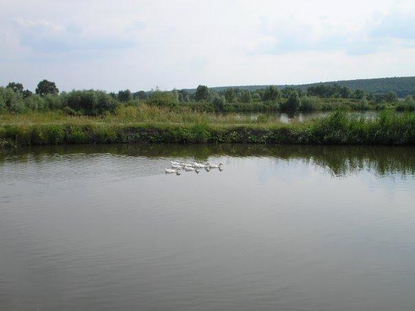 Буди з panoramio.com - Budy