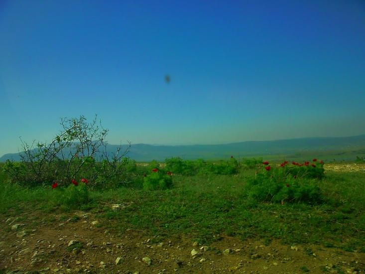 Лазарівка з panoramio.com - Лазарівка