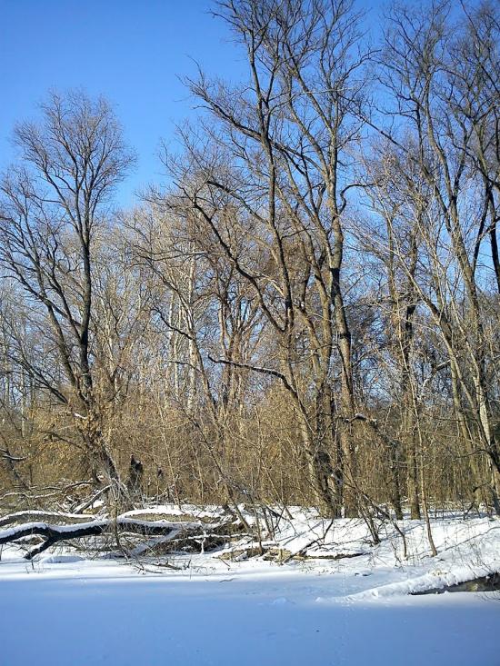 Донецьке з panoramio.com - Donetske