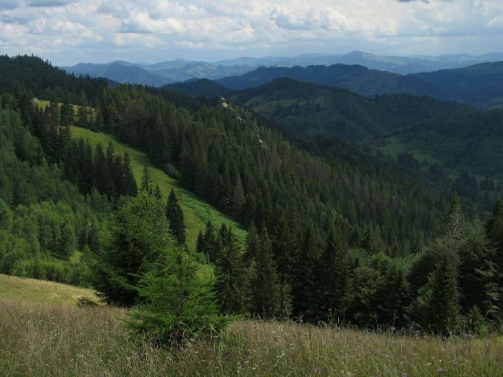 Бабин з panoramio.com - Бабин