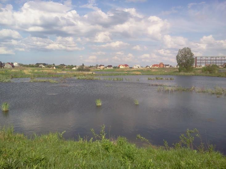 Забороль з panoramio.com - Забороль