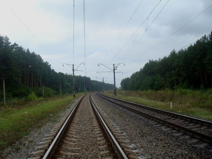 Крупець з panoramio.com - Крупец