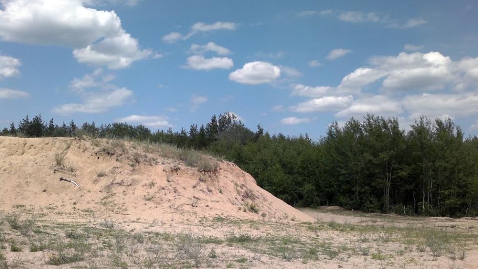 Щастя з panoramio.com - Счастье