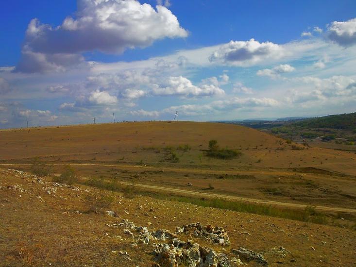 Рєпіне з panoramio.com - Рєпіне