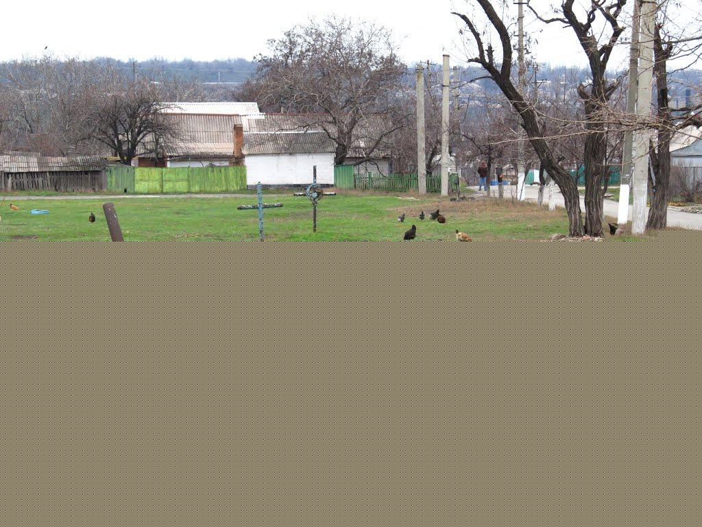 Лимани з panoramio.com - Лимани