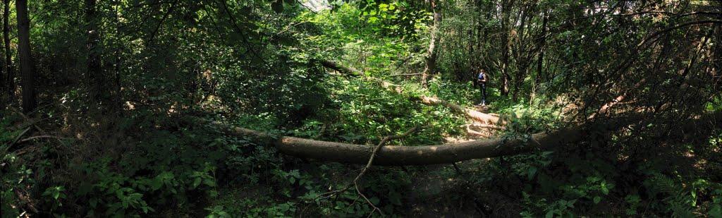 Іванковичі з panoramio.com - Иванковичи