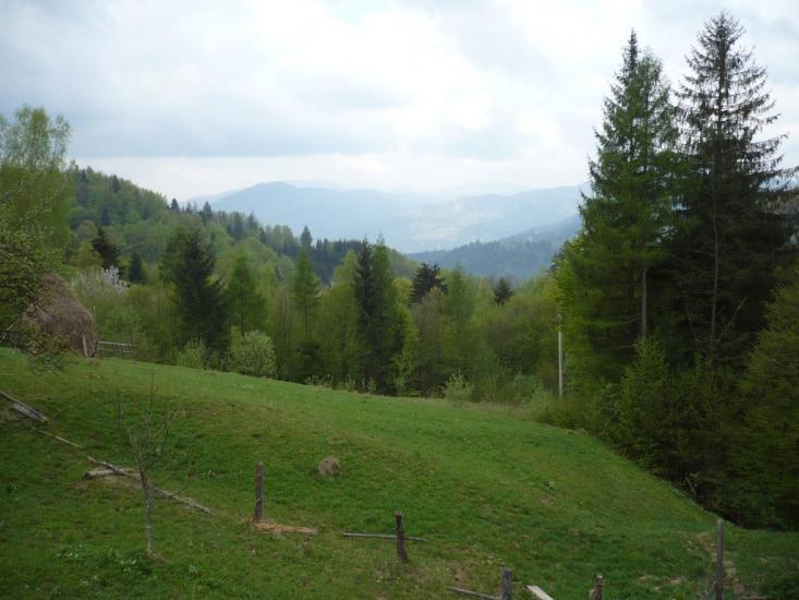 Розтоки з panoramio.com - Розтоки