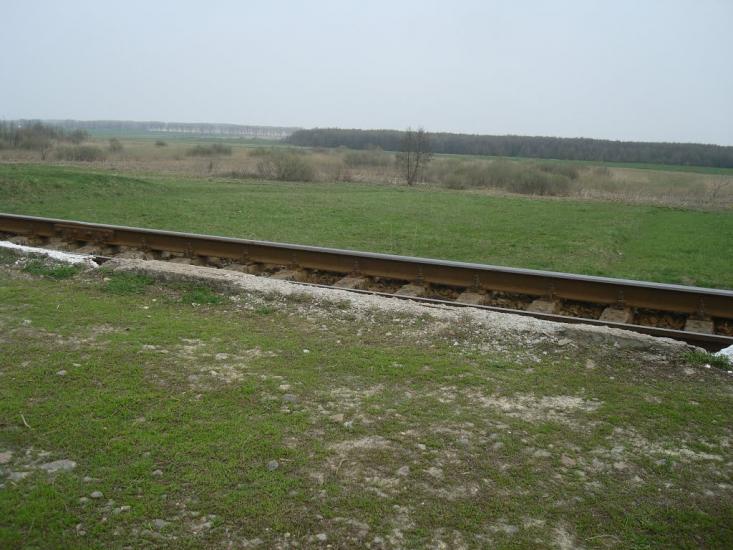 Росолівці з panoramio.com - Росолівці