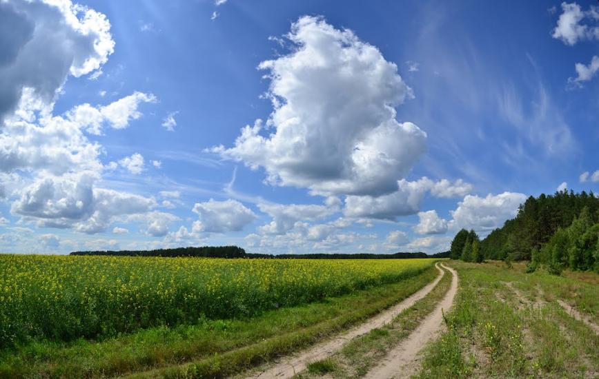 Тополівка з panoramio.com - Тополівка