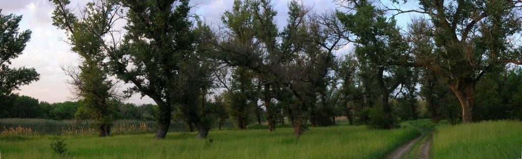 Щастя з panoramio.com - Счастье