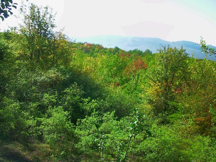 Плотинне з panoramio.com - Плотинное
