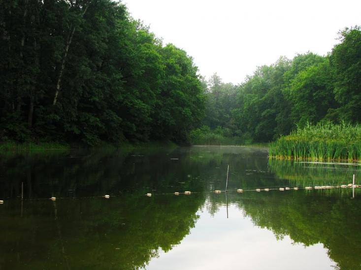 Брусівка з panoramio.com - Брусовка