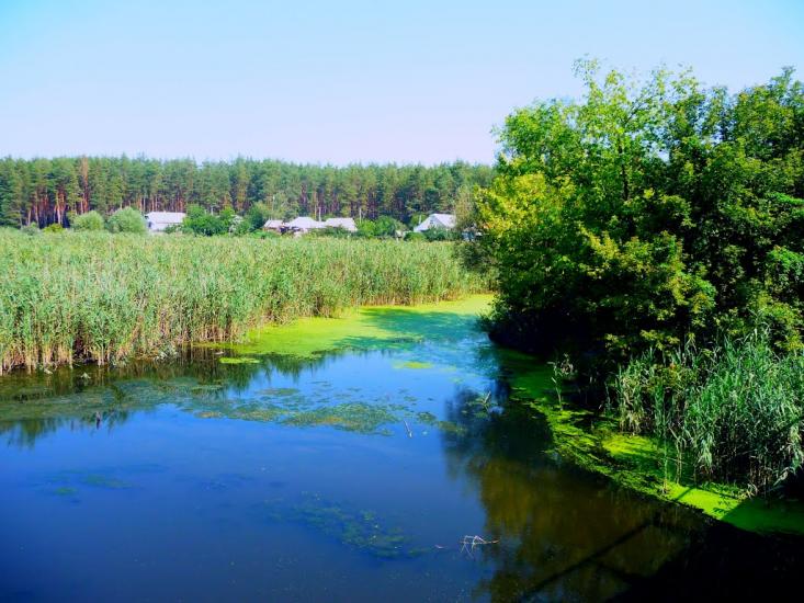 Хорошеве з panoramio.com - Хорошево