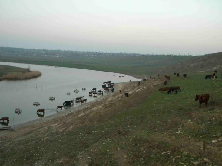 Павлівка з panoramio.com - Павловка