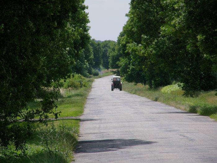 Корчів з panoramio.com - Корчів