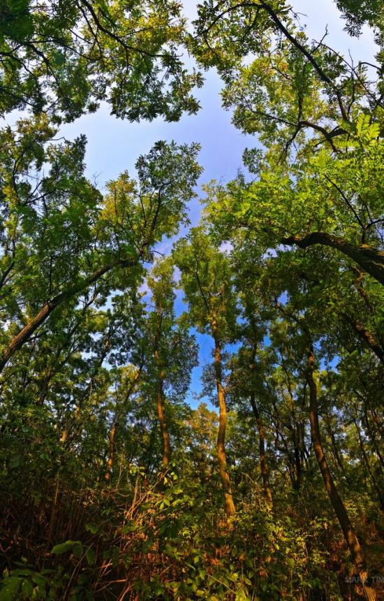 Кругляківка з panoramio.com - Кругляківка